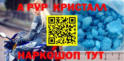 apvp Кингисепп