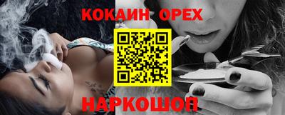 apvp Кингисепп