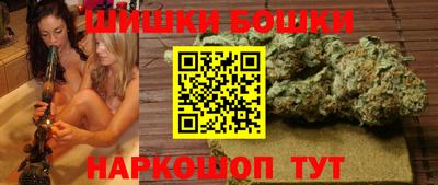 apvp Кингисепп