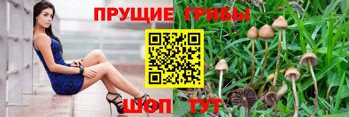Псилоцибиновые грибы GOLDEN TEACHER Сосновоборск